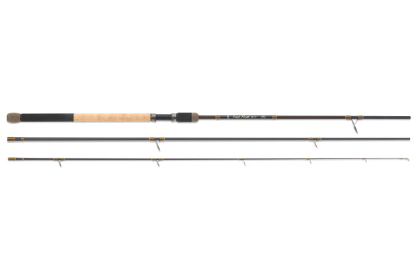 MS Range prut Carp Float 2.0, 4,2 m 80 g