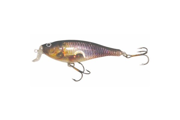 Mistrall wobler Shad Z Floater 6cm vzor 076