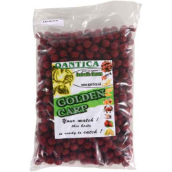 GOLDEN CARP boilies 1kg 20mm